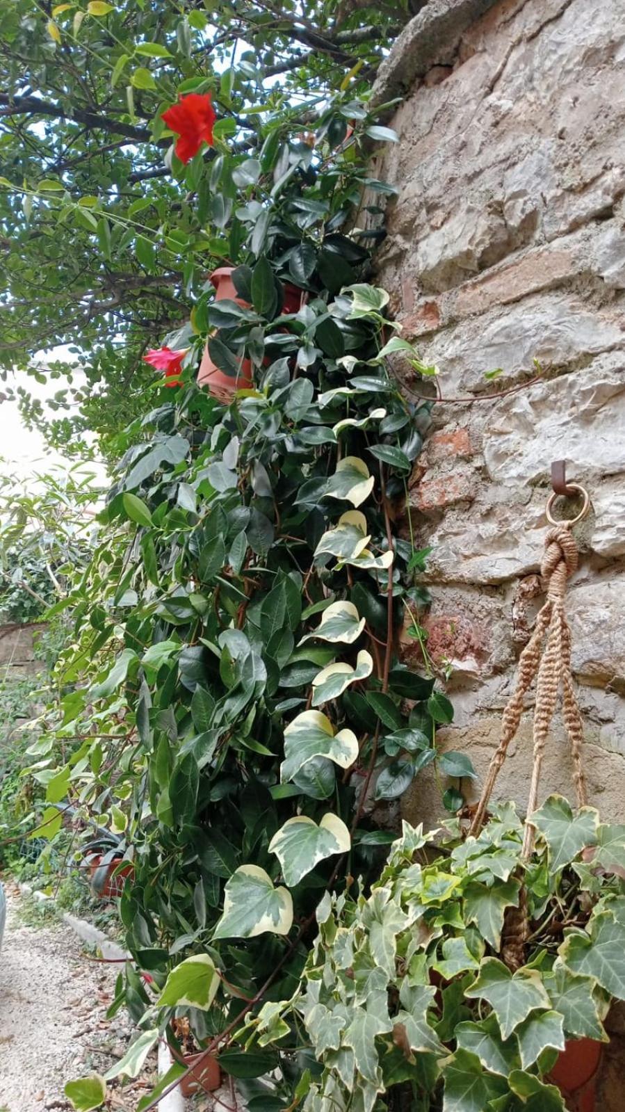 La Casa Nel Vicolo Apartment